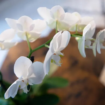 Les By Carpe Diem Les Andelys