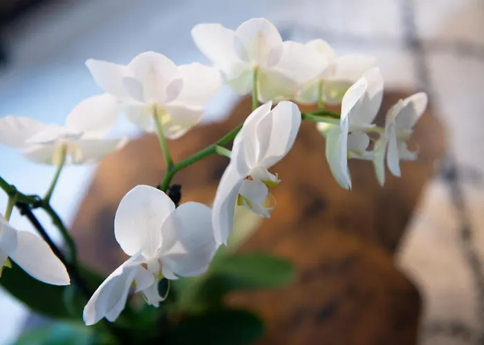 Les By Carpe Diem Les Andelys